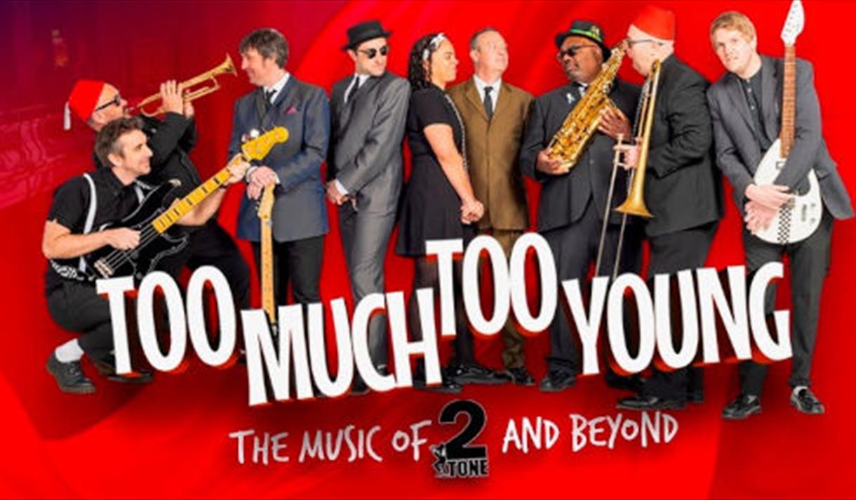 too much too young the music of 2 tone and beyond
